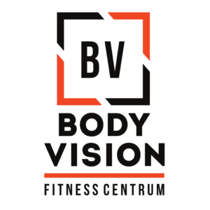 Body Vision logo